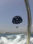 Cutter for sale