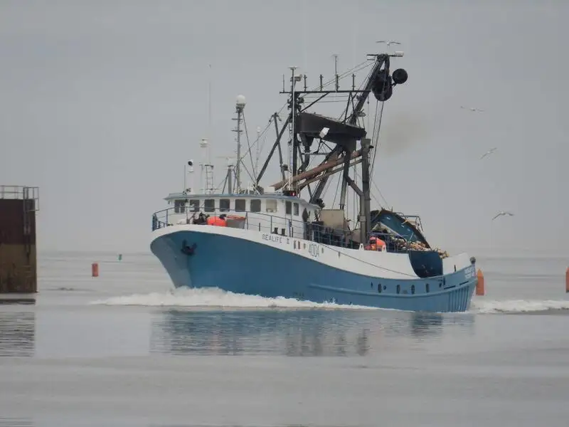 Purse seiner for sale