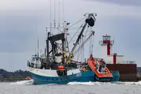 Purse seiner for sale
