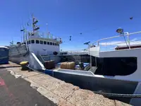 Trawler for sale