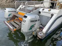 Catamaran for sale