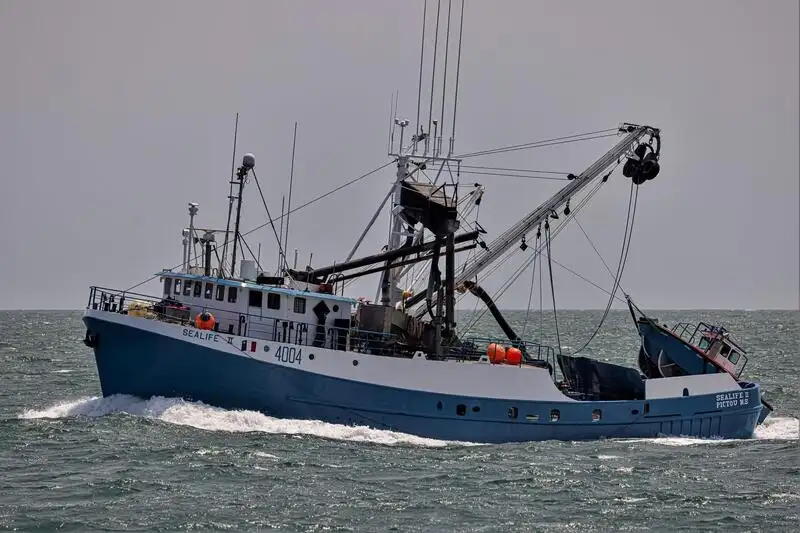 Purse seiner for sale