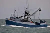 Purse seiner for sale
