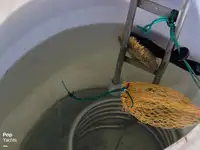 Fish processing vessel for sale