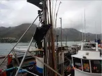Trawler for sale