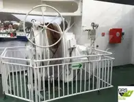 Ro-Ro ship for sale