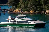 Cruise ship for sale