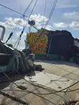 Purse seiner for sale