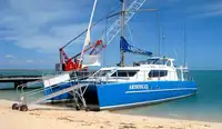Catamaran for sale
