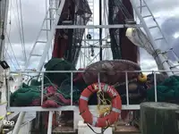 Trawler for sale