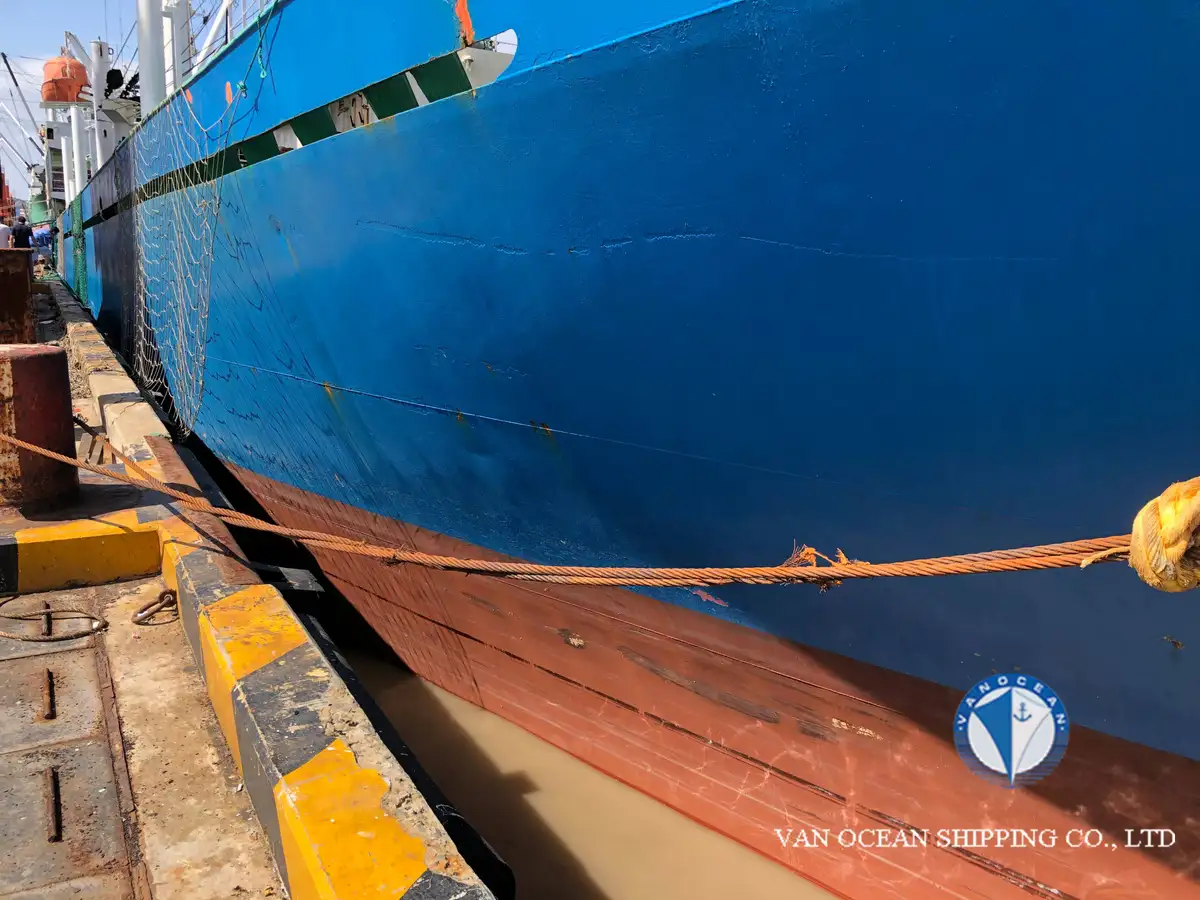 Reefer ship for sale