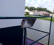 Towboat for sale