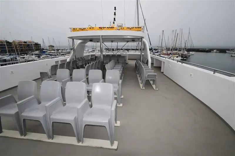 Catamaran for sale