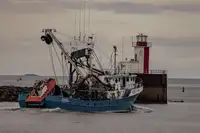 Purse seiner for sale