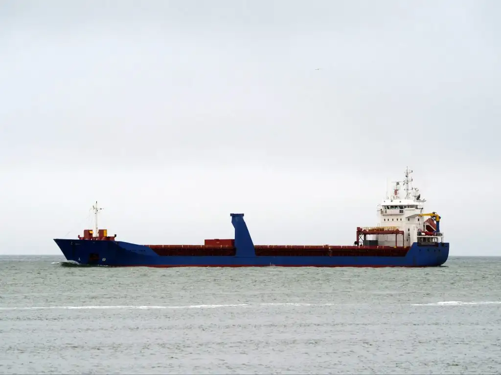Bulk carrier for sale