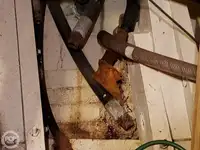 Ferry vessel for sale