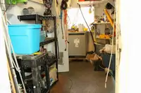 Ferry vessel for sale