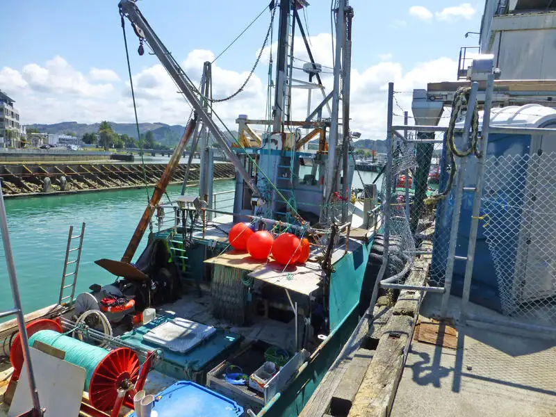 Trawler for sale