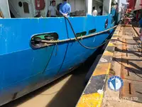 Reefer ship for sale