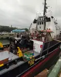 Towboat for sale