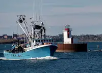 Purse seiner for sale