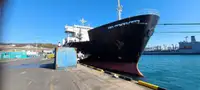 Ro-Ro ship for sale