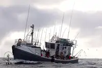 Trawler for sale
