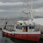 Workboats for sale