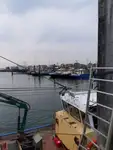Trawler for sale