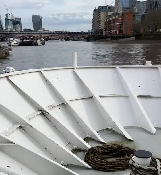 Cruiseferry for sale