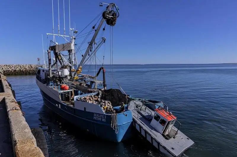 Purse seiner for sale