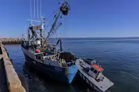 Purse seiner for sale