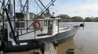 Trawler for sale