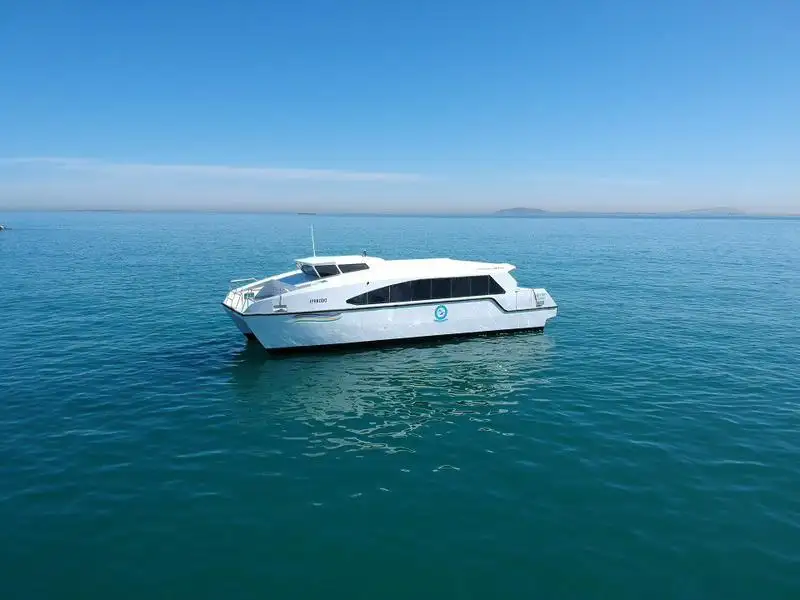 Catamaran for sale