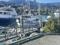 Trawler for sale