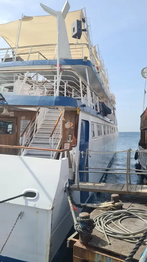 Catamaran for sale