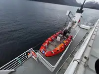 Ro-Ro ship for sale