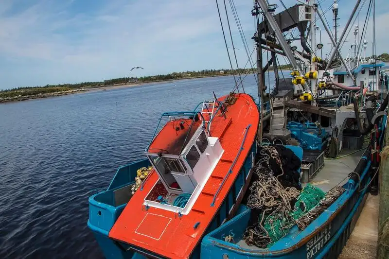 Purse seiner for sale