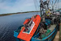 Purse seiner for sale