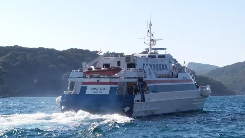 Catamaran for sale