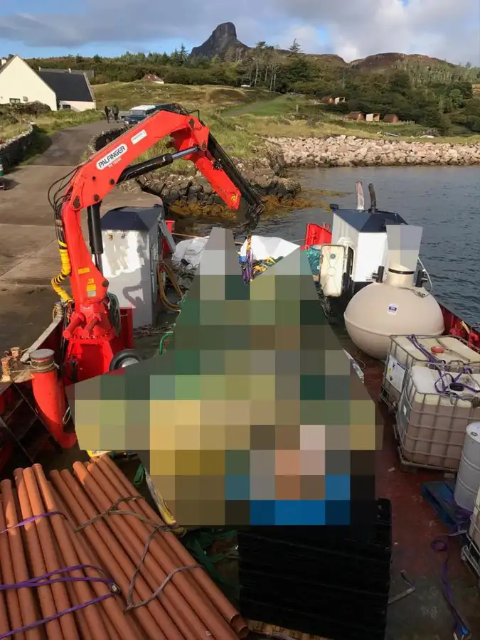 Workboats for sale