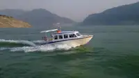 Cruise ship for sale
