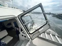Cruise ship for sale