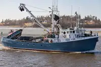 Purse seiner for sale