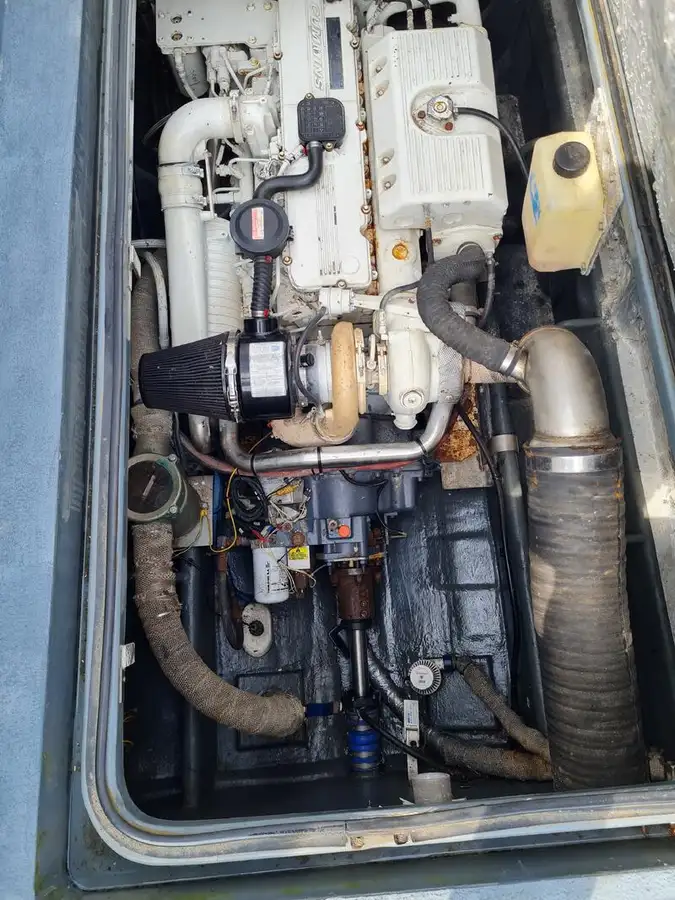 Catamaran for sale