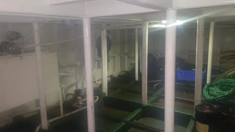 Ro-Ro ship for sale