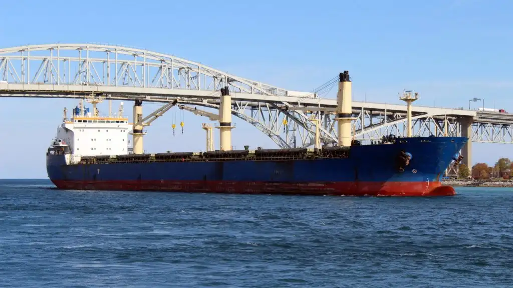 Bulk carrier for sale