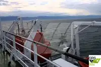 Ro-Ro ship for sale
