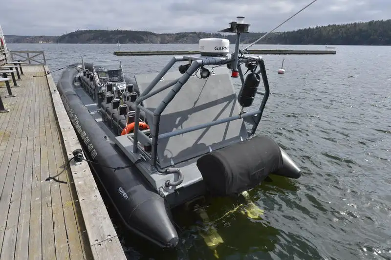 Rigid inflatable boat for sale