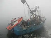 Purse seiner for sale